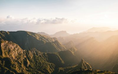 Ce que La Réunion a compris avant beaucoup d’autres territoires